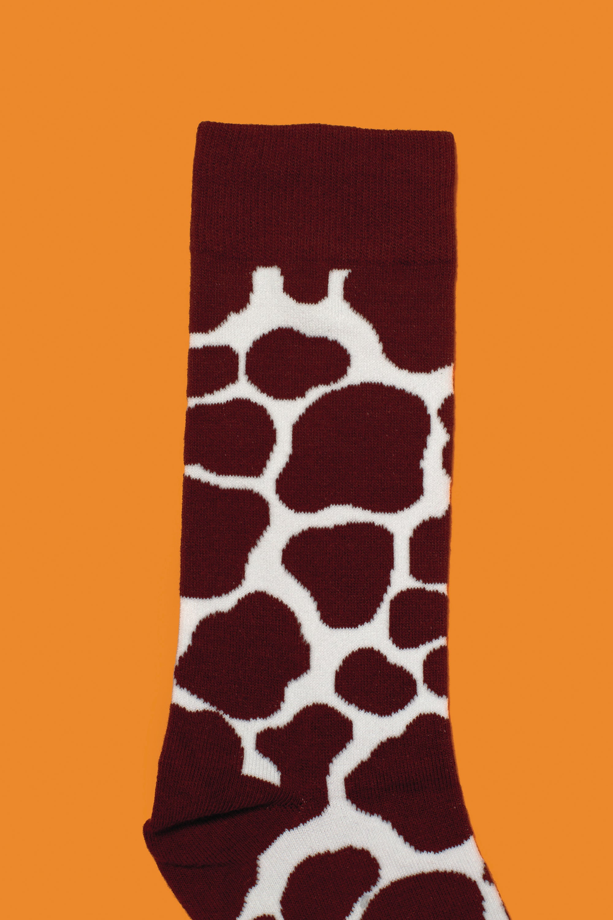 Creamy Chocolate Milk Socks - Main and Local